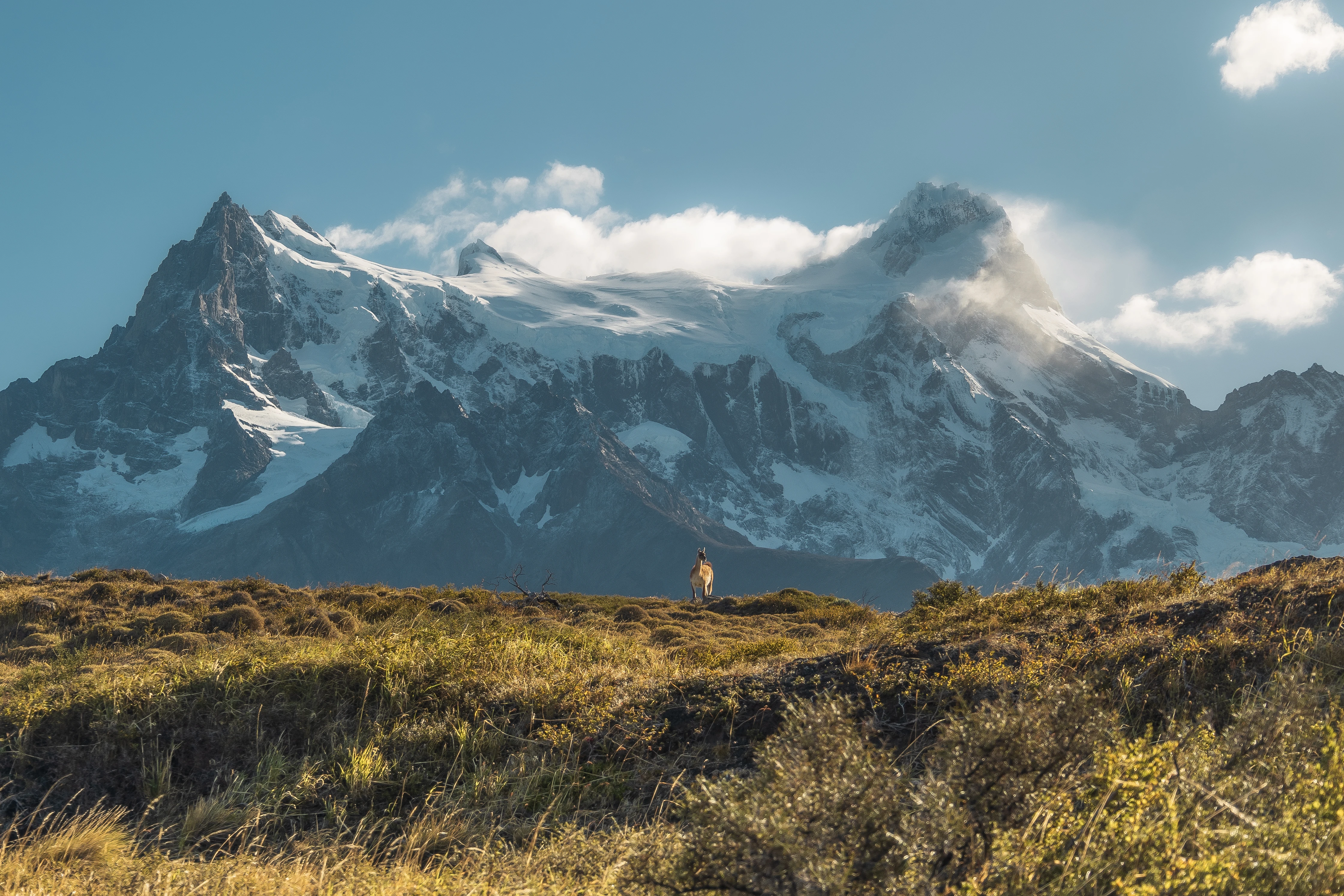 Torres del Paine: La Guía Definitiva para Planificar tu Aventura Inolvidable